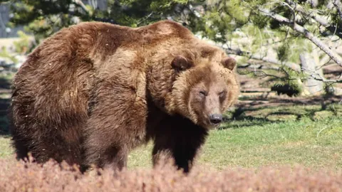 大宝谈国安梯队执教：树立职业球员意识，是迈向职业道路的关键